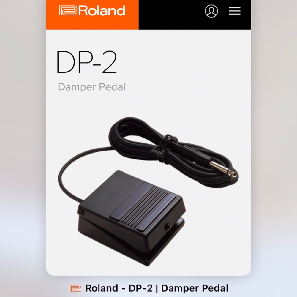 Roland DP-2 pedal